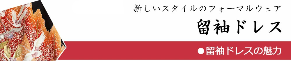 新しいスタイルのフォーマルウェア　留袖ドレス