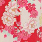 0AP3097